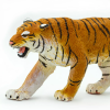 236418 1 tygr bengalsky