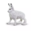 237747 3 zajic polarni