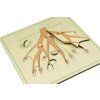 236049 1 puzzle tri koreny