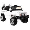 2562 3 elektricke auticko jeep bile