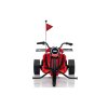 Dětská elektrická tříkolka DRIFT BIKE 21 červená09