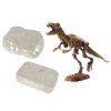 209812 2 archeologicka sada 2v1 kostra dinosaura tyranosaurus