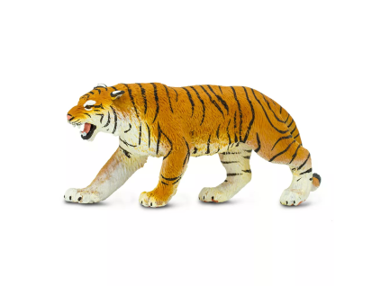 236418 tygr bengalsky