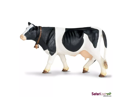 236637 holstein krava