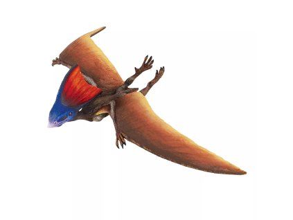 236256 tapejara