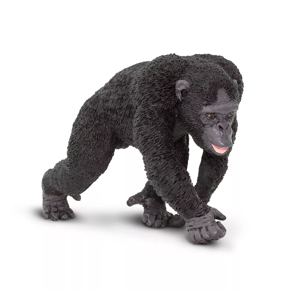 Safari Ltd. Figura - Čimpanza