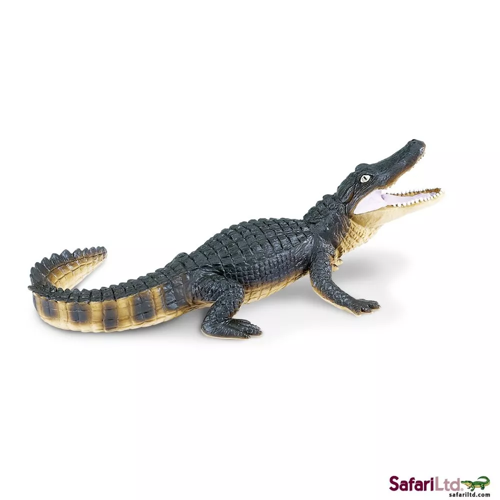 Safari Ltd. Aligator