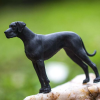 238536 1 nemecka doga