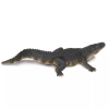 237723 3 aligator