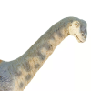 238395 6 camarasaurus
