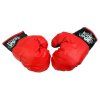 Velký boxerský set 3