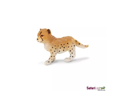 236433 mlade geparda