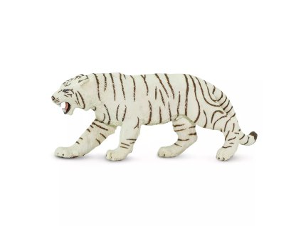 236445 bily bengalsky tygr