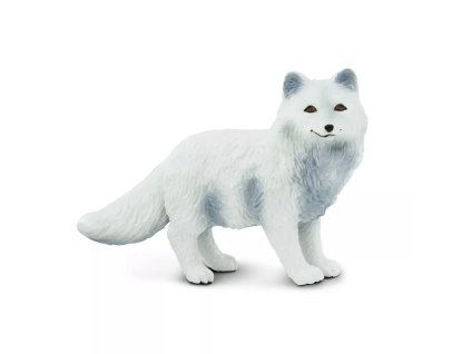 236562 polarni liska