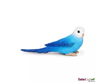 236589 modra andulka