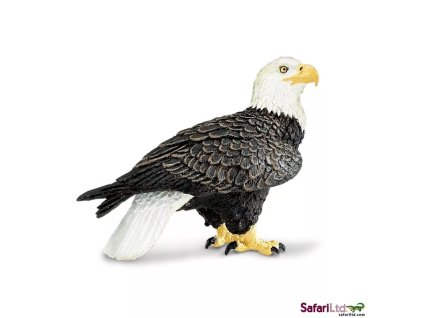 236607 orel belohlavy