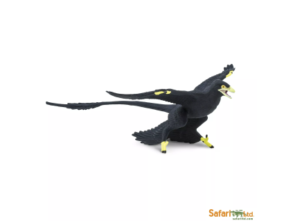 237705 microraptor