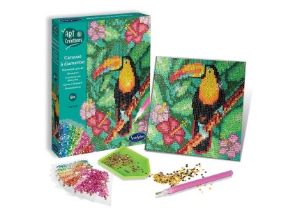 240786 diamantove platno tukan