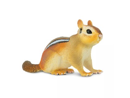 236136 pruhovana veverka