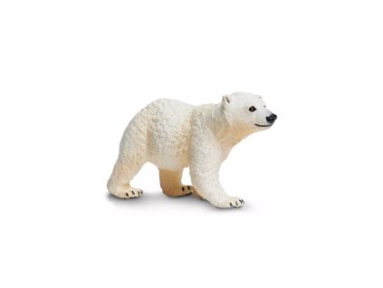 236742 mlade ledniho medveda