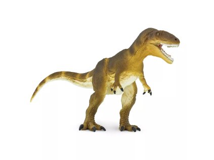 237381 carcharodontosaurus