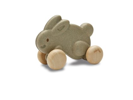 239199 jezdici zajic sedy