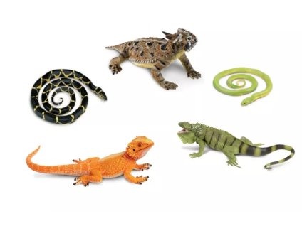 237810 hadi a jesteri 5 ks