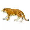 236418 3 tygr bengalsky