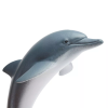 236709 1 delfin