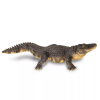 237723 5 aligator