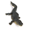 237723 8 aligator