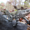 240456 1 allosaurus