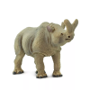 238026 1 megacerops