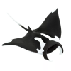 238047 manta