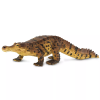 238557 7 sarcosuchus