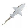 238584 2 zralok pisecny