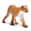 240648 5 puma americka
