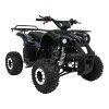 pojazd quad spalinowy wildpeak 110cc czarny (3)