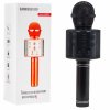 Bezdrátový karaoke mikrofon černý1