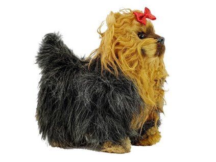 Cane interattivo Yorkshire