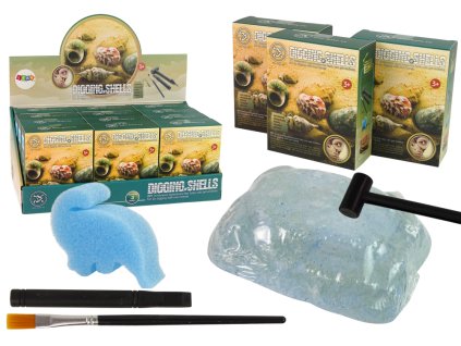 Archeologická sada vykopávek mušle