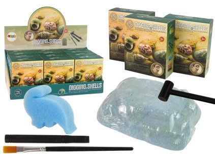 Set di scavi archeologici con conchiglie