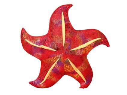 Cuscino a forma di stella marina in peluche 20 cm rosso