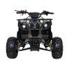 pojazd quad spalinowy wildpeak 110cc czarny (2)