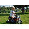 Moto elettrico per bambini BMW S1000RR triciclo rosso