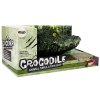 Krokodyl1