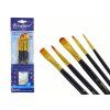 Set di 5 pennelli con forme diverse