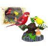 Pappagalli cantanti mobili sull'albero