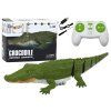 Crocodilo Radiocomandato Galleggiante per Acqua