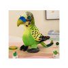 Pappagallo di peluche 20 cm verde